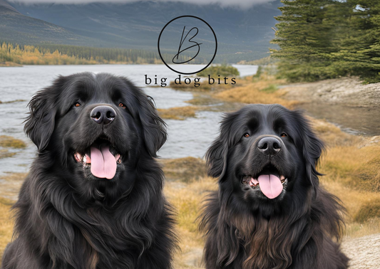 Big Dog Bits  Gift Card