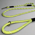 Load image into Gallery viewer, Glow in the dark and Reflective Lead Clip or Slip
