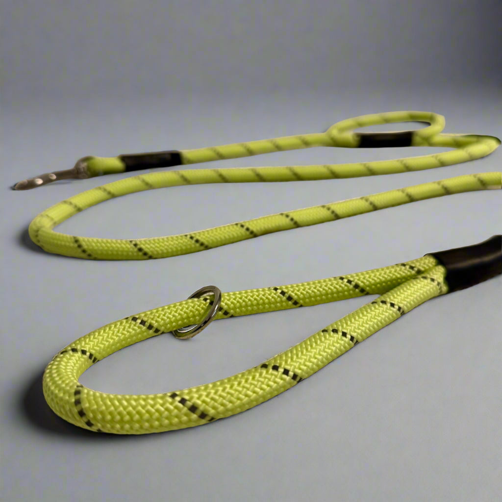 Glow in the dark and Reflective Lead Clip or Slip